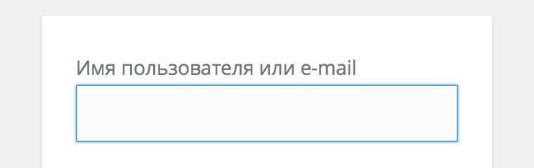 Вход на сайт с помощью email — WordPress 4.5