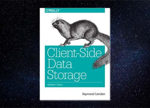 Client-Side Data Storage