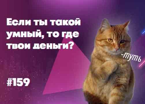 Если ты такой умный, то где твои деньги? — Суровый веб Lite #159
